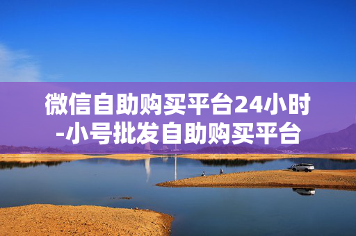 微信自助购买平台24小时-小号批发自助购买平台-第1张图片-001老号网