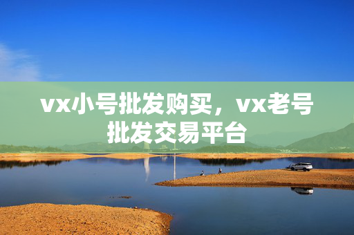 vx小号批发购买，vx老号批发交易平台