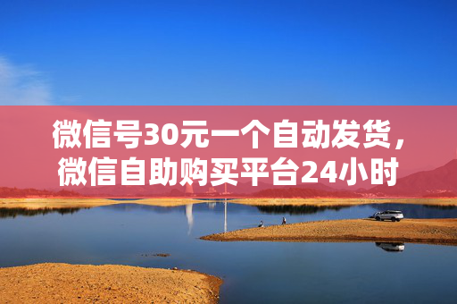 微信号30元一个自动发货，微信自助购买平台24小时